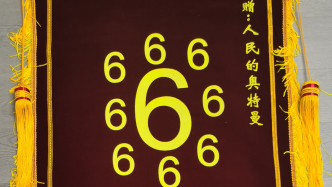 女子租房被假中介诈骗8万多元，破案后为上海警方送上“666”锦旗